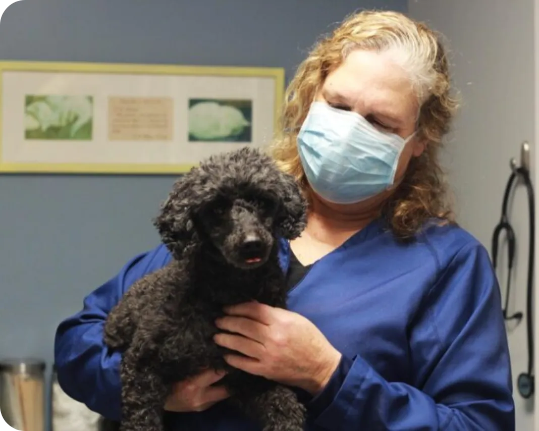 Dr. Lori Cobb